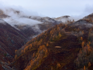 小东沟森林公园