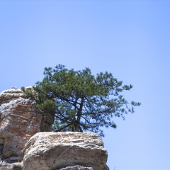 陕西清凉山_7465_10850