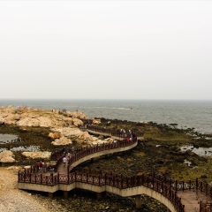 烟台养马岛_7235_10339