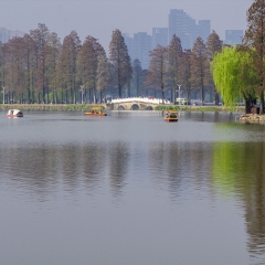 武汉东湖游船_8052_12466