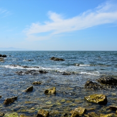 烟台养马岛_7235_10336