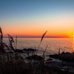 烟台养马岛_7235_10343