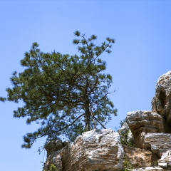 延安清凉山_7440_10791