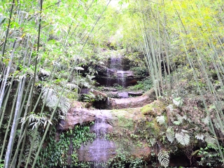 四洞沟