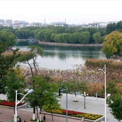 小交通模块 