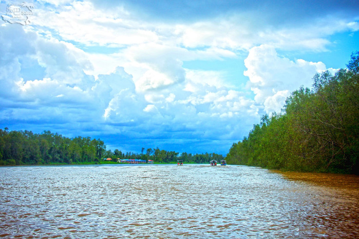 加里曼丹河流图片