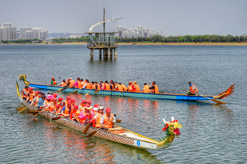 北方还是比较少见的,但是日照都南茶北引,南竹北种了,这划龙舟当然也