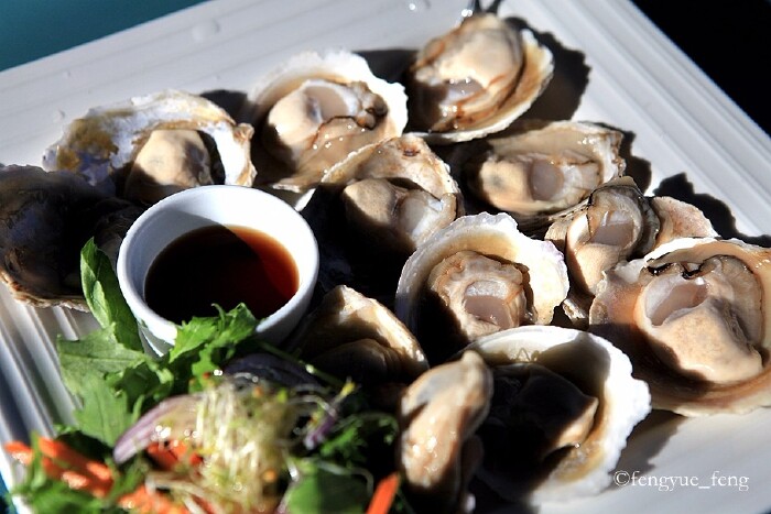 布拉夫生蚝硕大肥美,鲜嫩多汁.