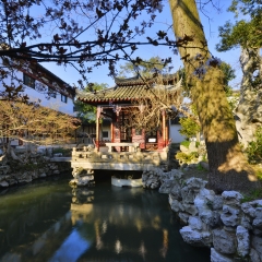 苏州怡园风光_194