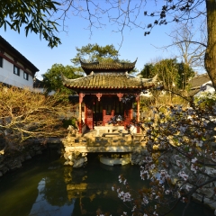 苏州怡园风光_193