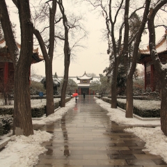 陕西文庙小路_92