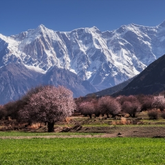 景点模块 