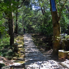 景点模块 