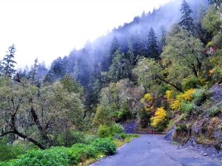 九龙伍须海景区