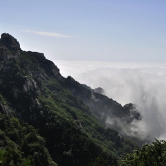 泰山云雾仙境_848