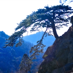 泰山冬季风光_923