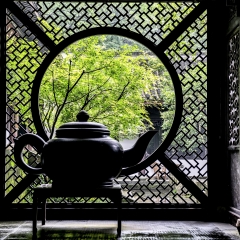 活动模块 