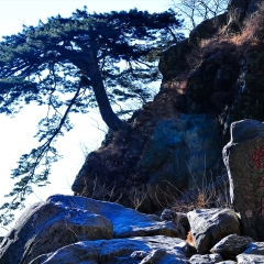 泰山冬季风光_924