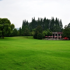 杭州柳浪闻莺大草坪_532