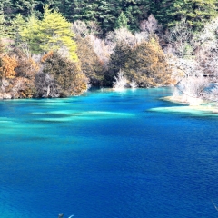 九寨沟火花海冬季风光_1341