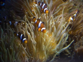 香港海洋公园海洋馆