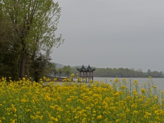 石漫滩国家森林公园