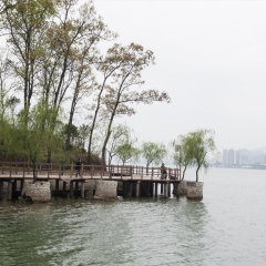 城市类、河南舞钢、石漫滩国家森林公园春色美如画_1704