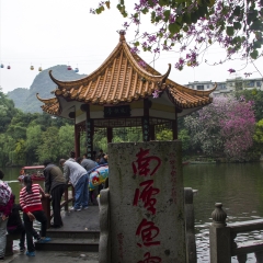 中国广西柳州市立鱼峰鱼峰山风景区_2277
