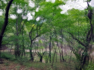 皇藏峪国家森林公园