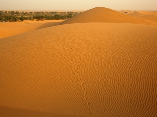 塔克拉玛干沙漠