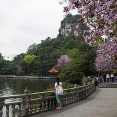 中国广西柳州市立鱼峰鱼峰山风景区_2278