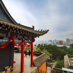 景点模块 