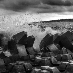 山东东营孤东海堤_2493