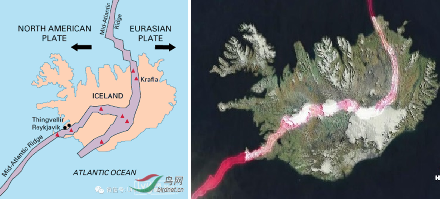 冰与火之国(一)冰岛黄金圈