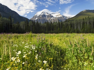 罗布森山省级公园