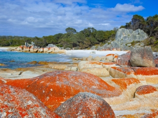 科尔斯湾国家公园