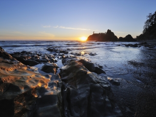 奥林匹克国家公园