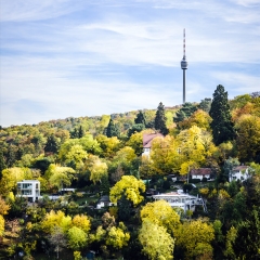 景点模块 