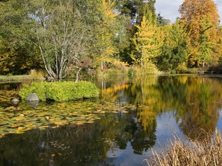 美国国家植物园