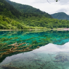 景点模块 