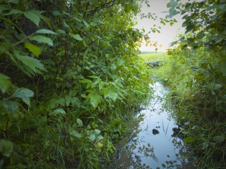 麋鹿岛国家公园