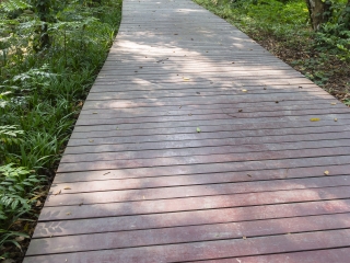 广西药用植物园