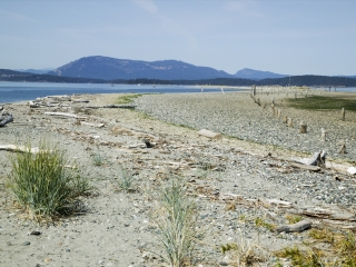 劳伦斯海洋公园