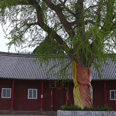 首山乾明寺_20141