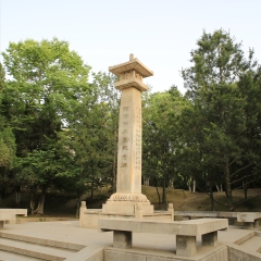 兴庆宫公园_12524