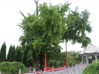 西安重阳宫