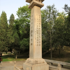 兴庆宫公园_12521