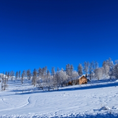 新疆禾木冰雪风光_10118