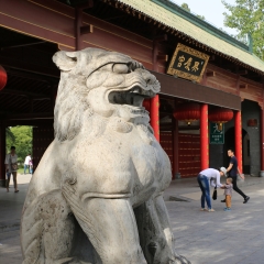 兴庆宫公园_12518
