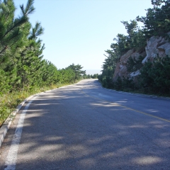 山东省威海市荣成西霞口镇神雕山野生动物园风光_13380